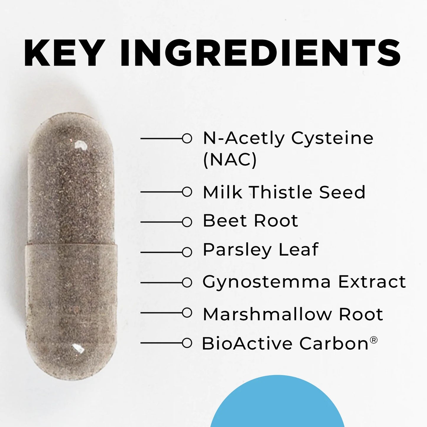 LIVER SUPPORT KIT