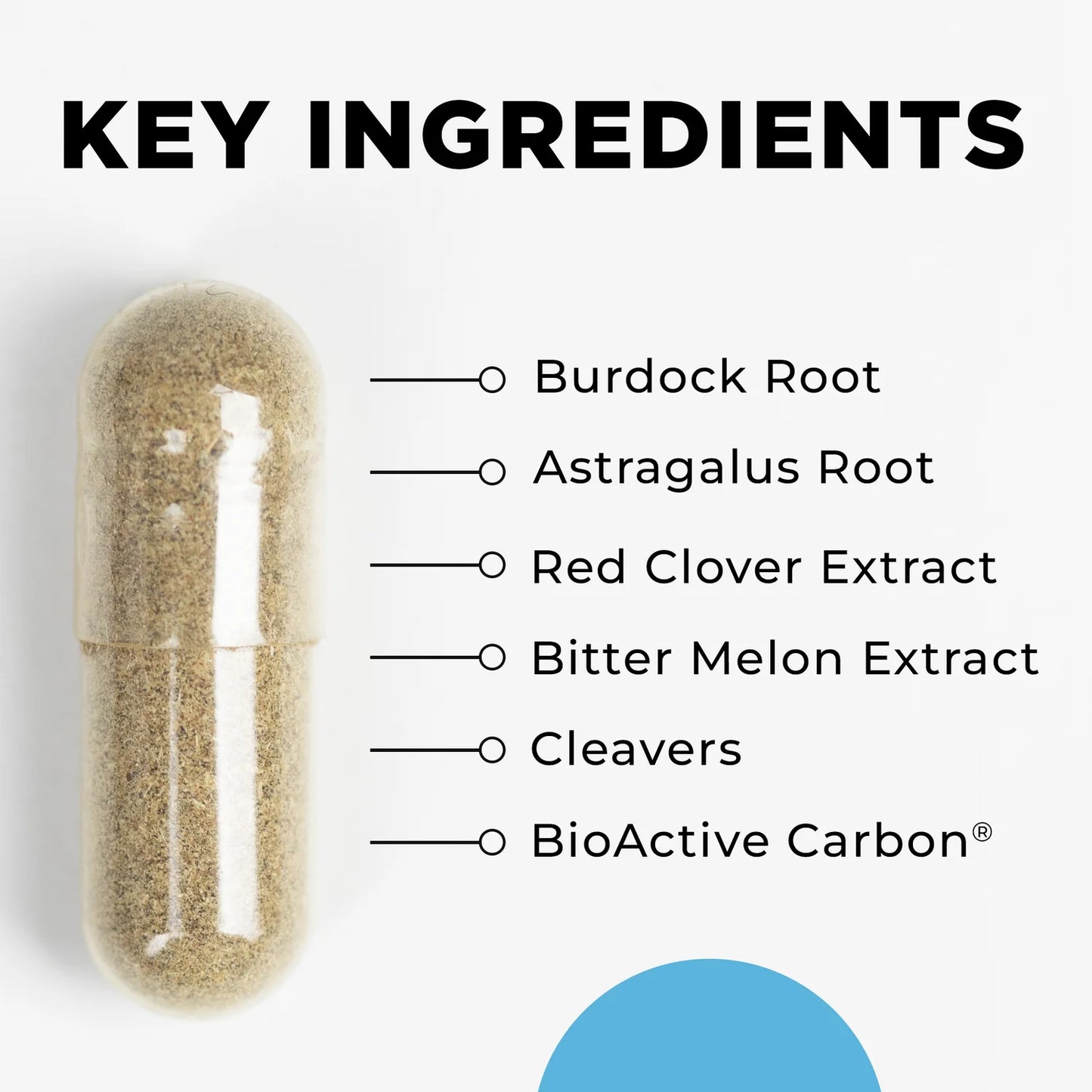 LIVER SUPPORT KIT